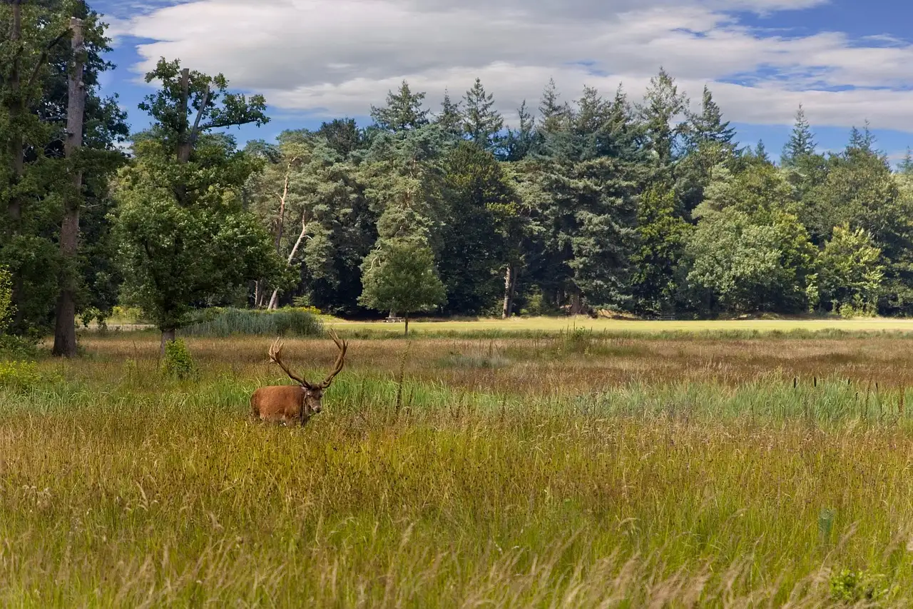 Noord veluwe wonen