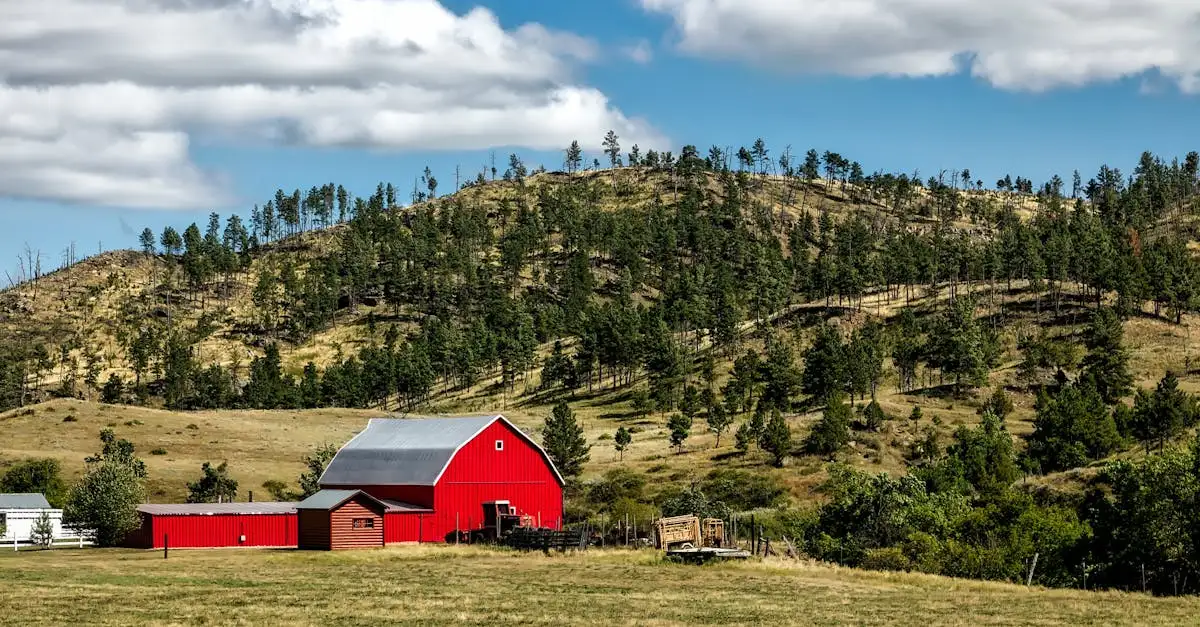 Wonen op het platteland: Rust, ruimte en natuur ervaren